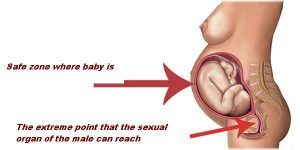Safe zone of sex during pregnancy